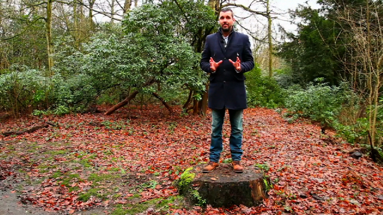 Invloed van de Mens op het Bos!