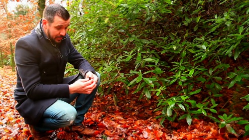 Video Het Bos: Uitzicht & Lagen! - Natuurwetenschappen 1ste graad A