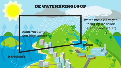 Video Zoet Water: Inleiding! - Natuurwetenschappen 1ste graad A