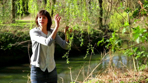 Video Fotosynthese: Aanpassingen van Planten! - Natuurwetenschappen 1ste graad A