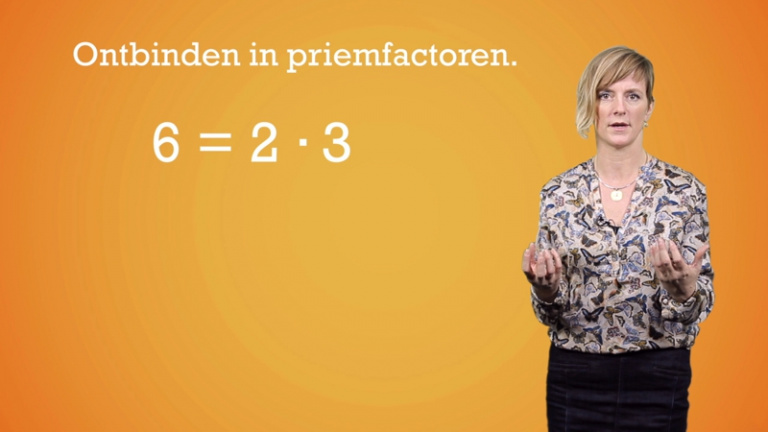 Ontbinden in priemfactoren