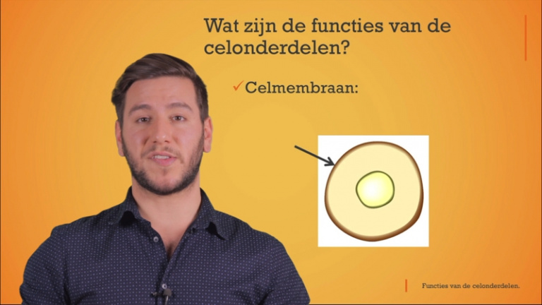 Functies van de celonderdelen.