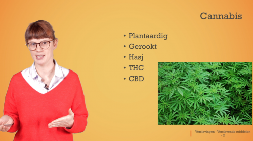 Video Verslavende middelen: cannabis - Mens & samenleving 1ste graad A